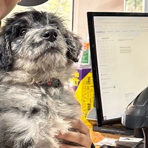 Meet your Posher, Matej